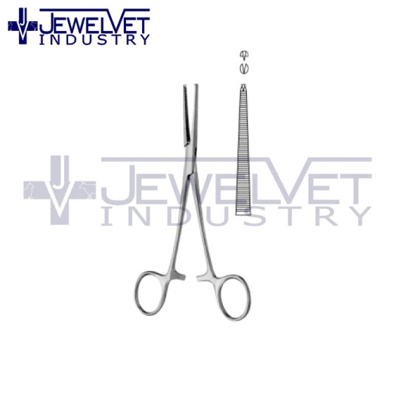 General Artery Forceps (2)