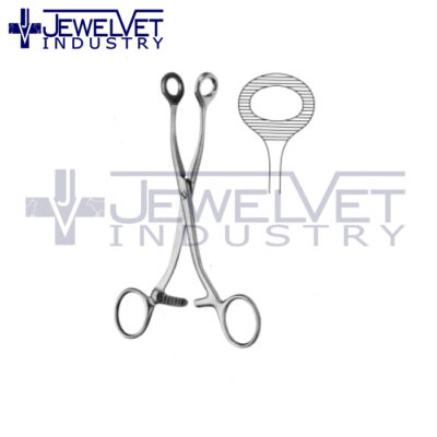 General Artery Forceps (4)