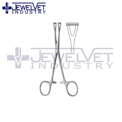 General Artery Forceps (5)