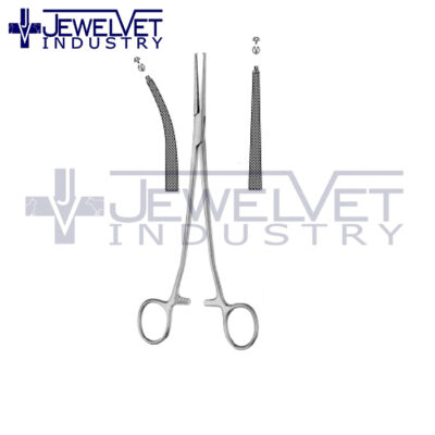 General Artery Forceps (6)