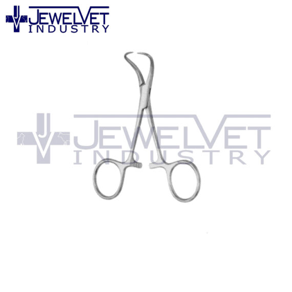 General Artery Forceps (8)