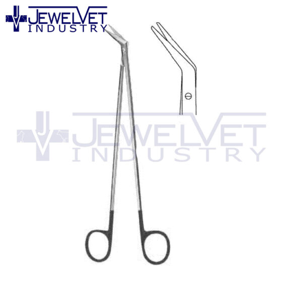 Surgery Scissors (5)